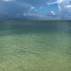 Meet your Posher, Kendall